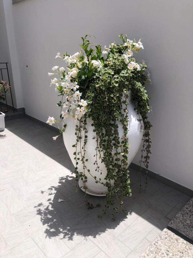Il Fiore Bianco *